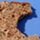 buttermilkbananabreadt.jpg