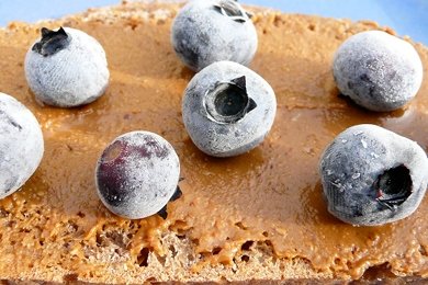 blueberrytoastb