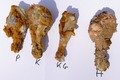 friedchickenexperiment2b
