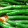 greenbeanschineset