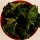 kalechipt