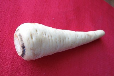 parsnip