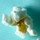popcornt