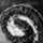 swissrollstbw