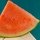 watermelont